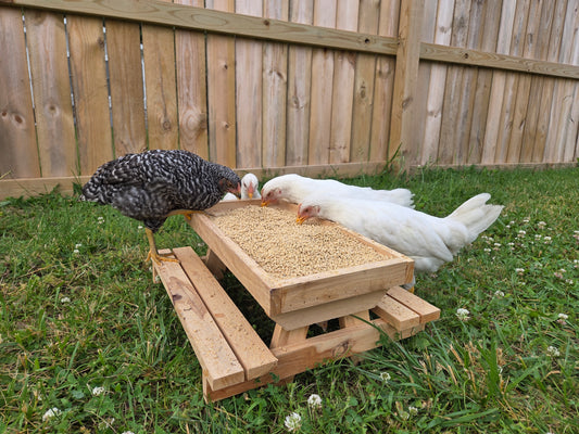 Chick-nic Table