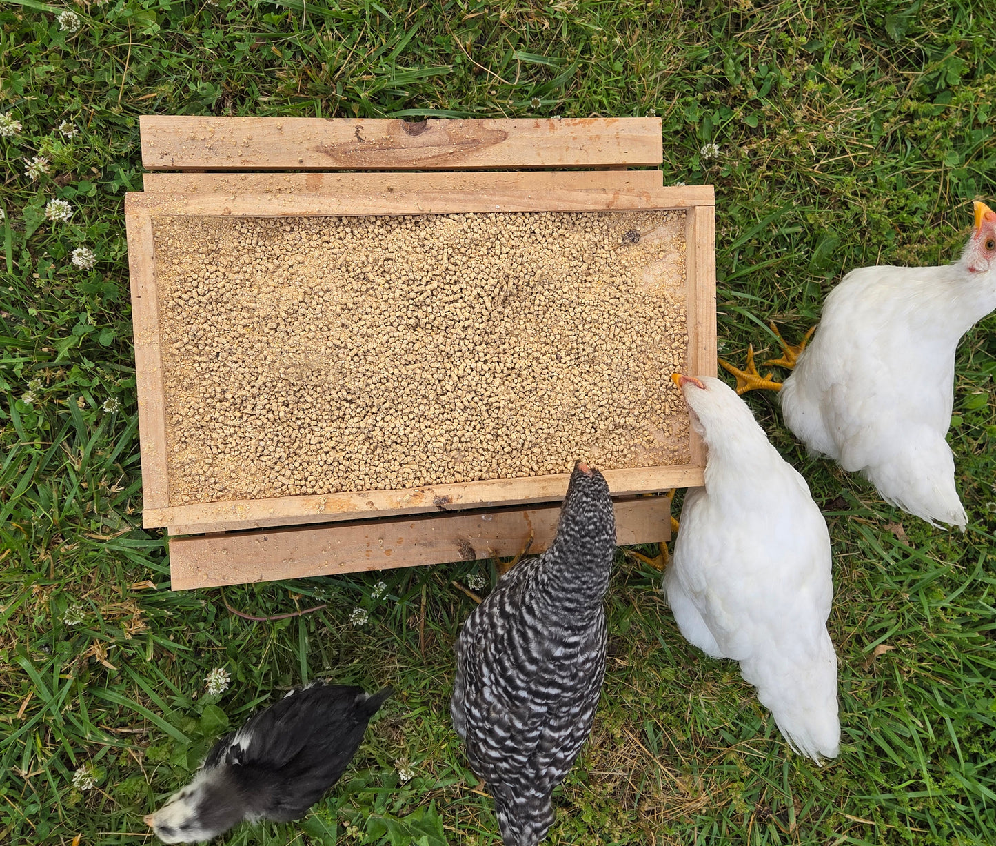 Chick-nic Table