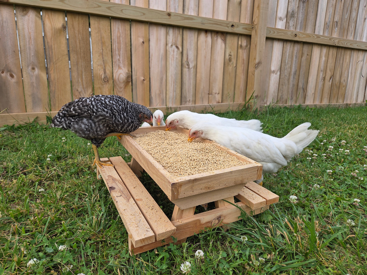 Chick-nic Table